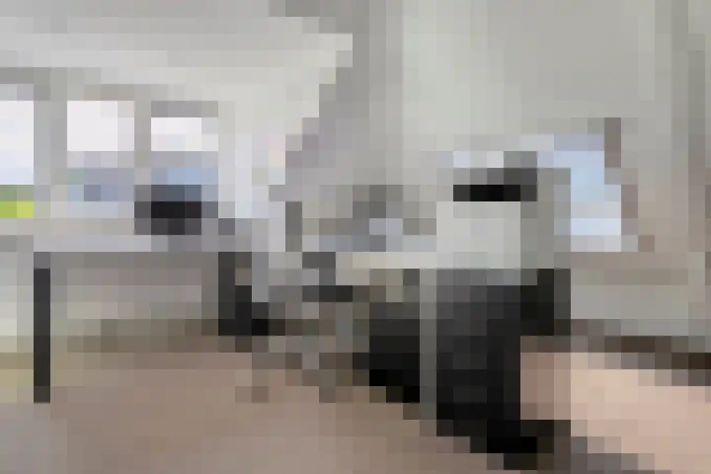 Teeuwserf 42 Dalfsen thumbnail 43