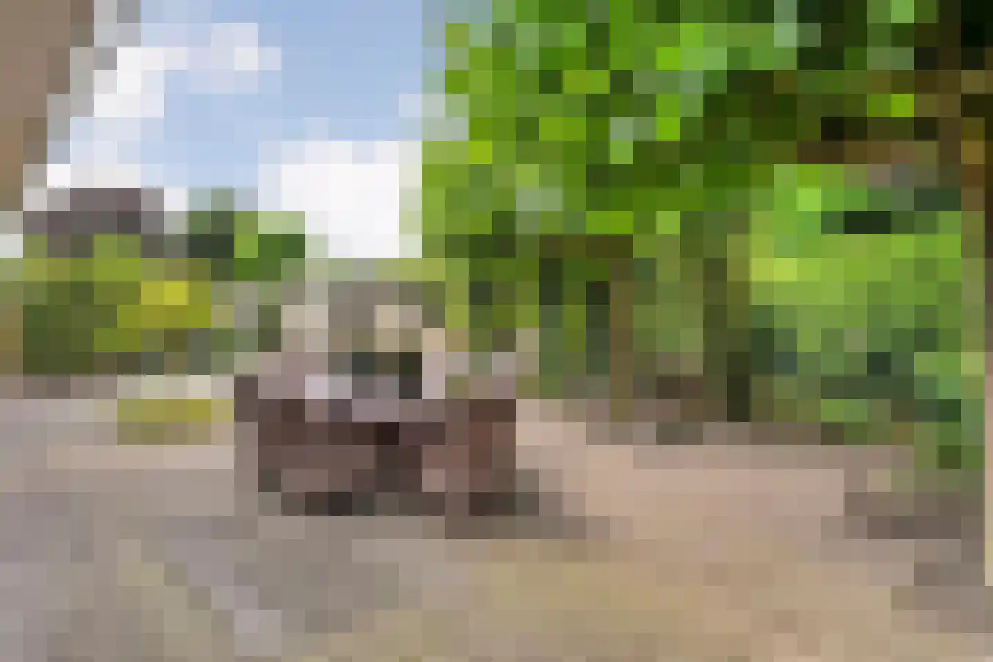 Teeuwserf 42 Dalfsen thumbnail 44