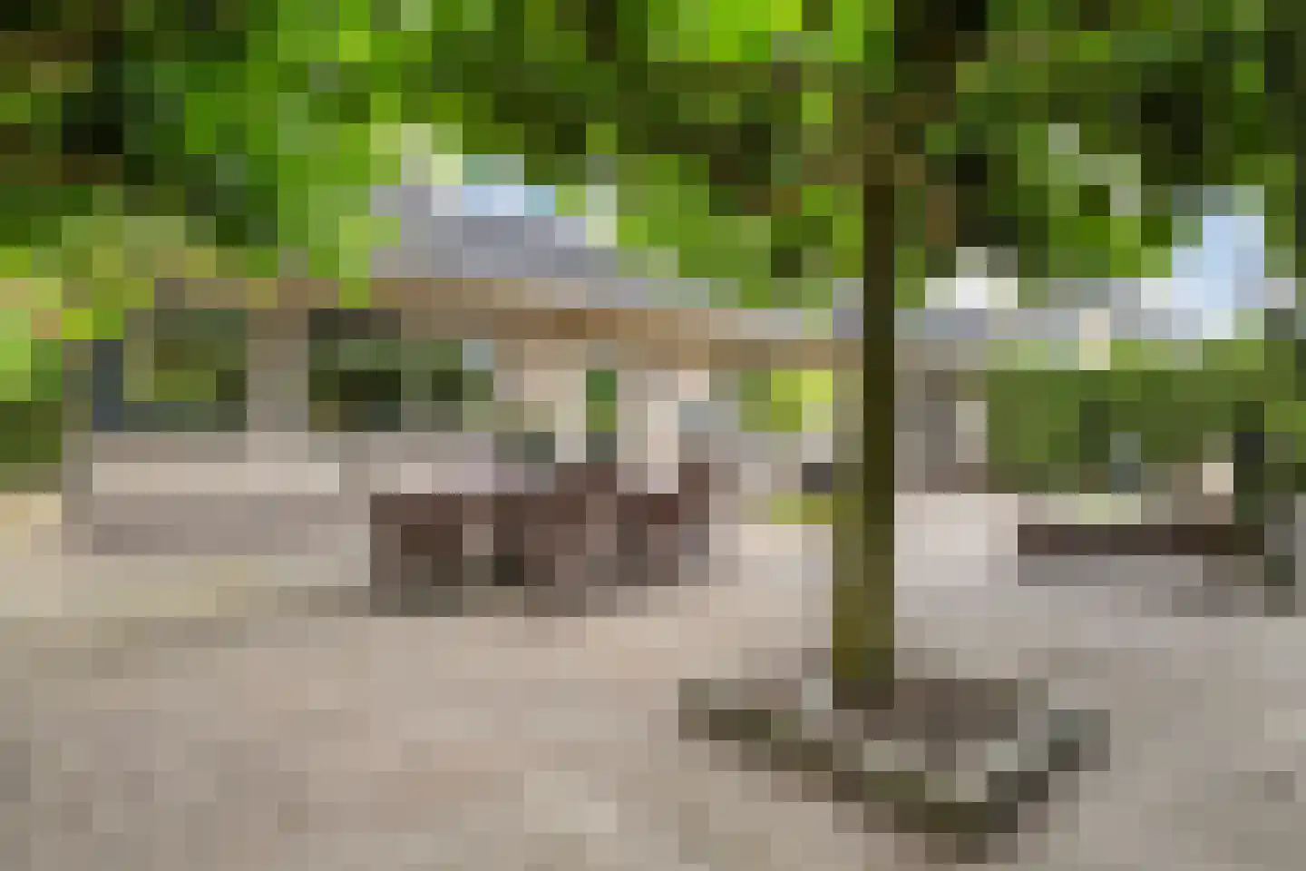 Teeuwserf 42 Dalfsen thumbnail 45