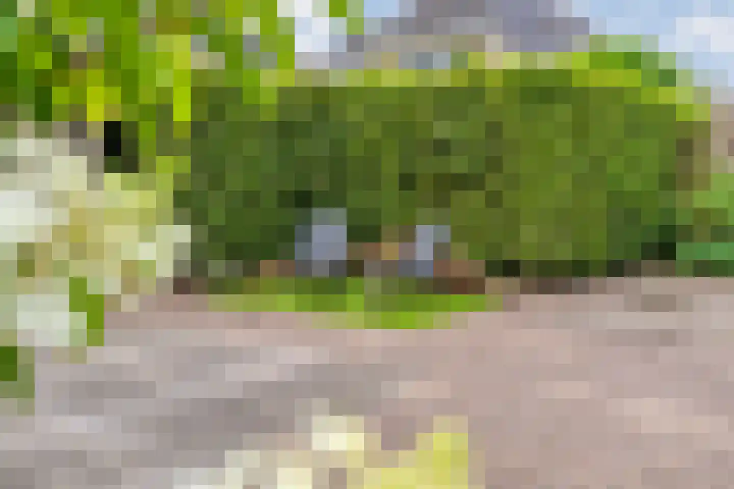 Teeuwserf 42 Dalfsen thumbnail 49