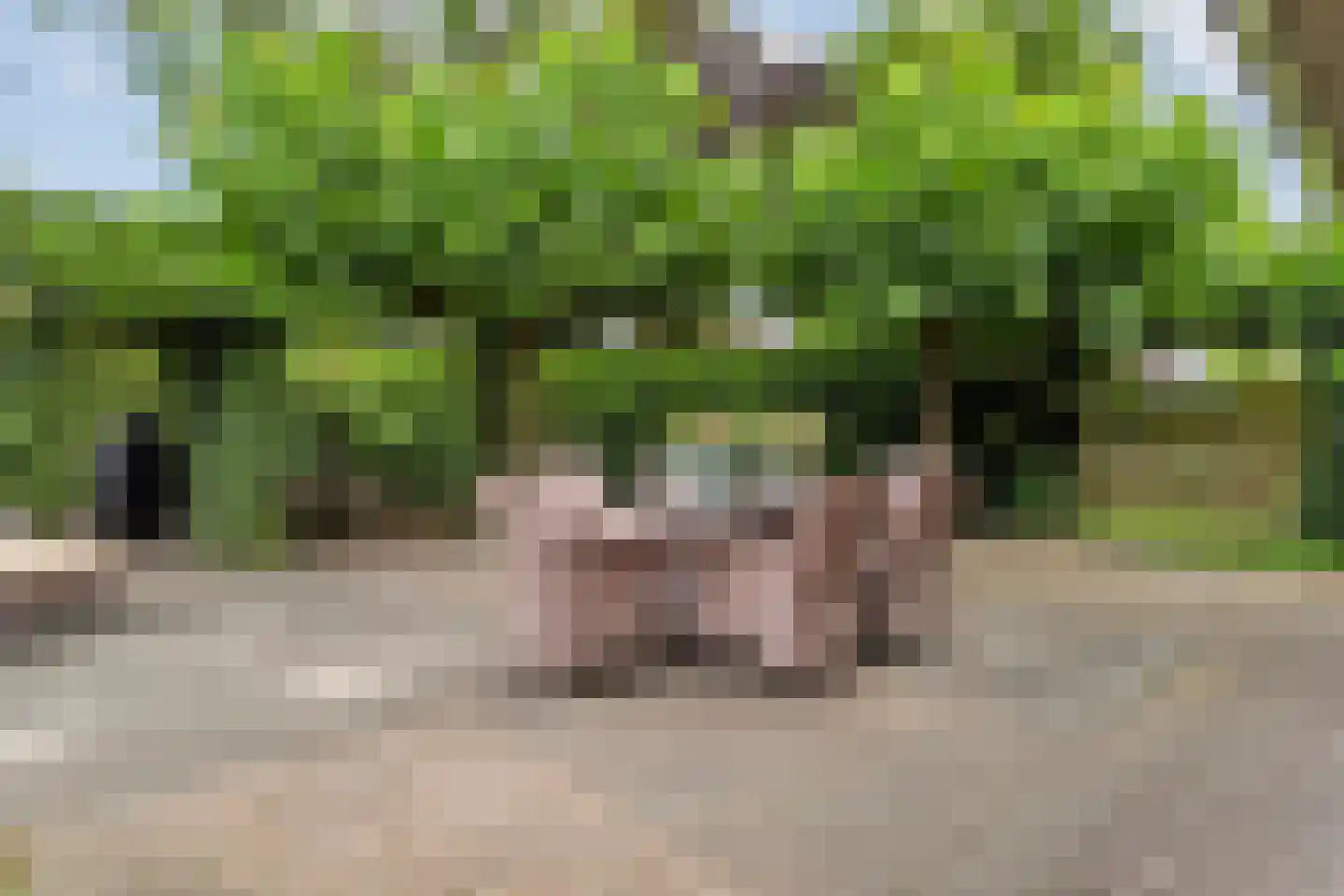 Teeuwserf 42 Dalfsen thumbnail 50