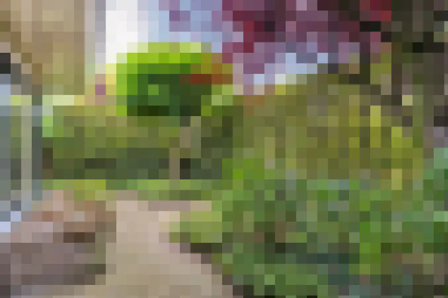 Teeuwserf 42 Dalfsen thumbnail 51