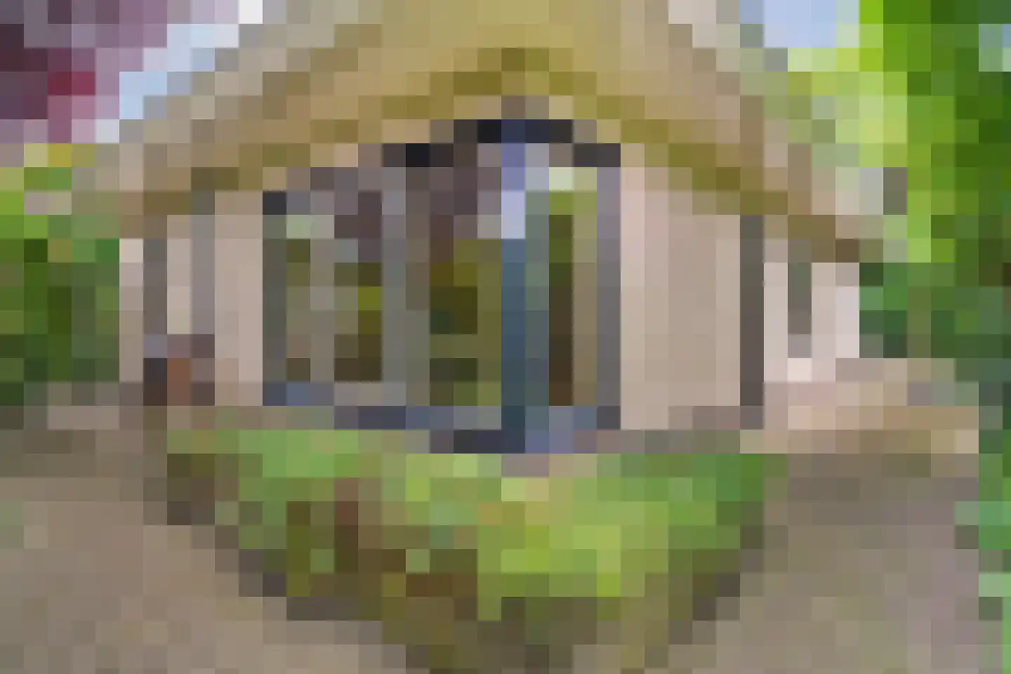 Teeuwserf 42 Dalfsen thumbnail 52