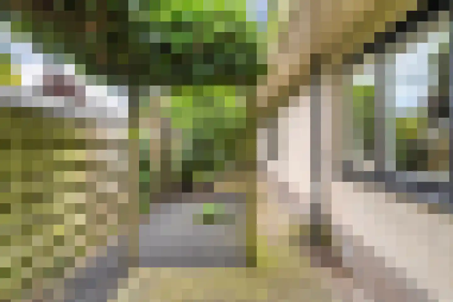 Teeuwserf 42 Dalfsen thumbnail 53
