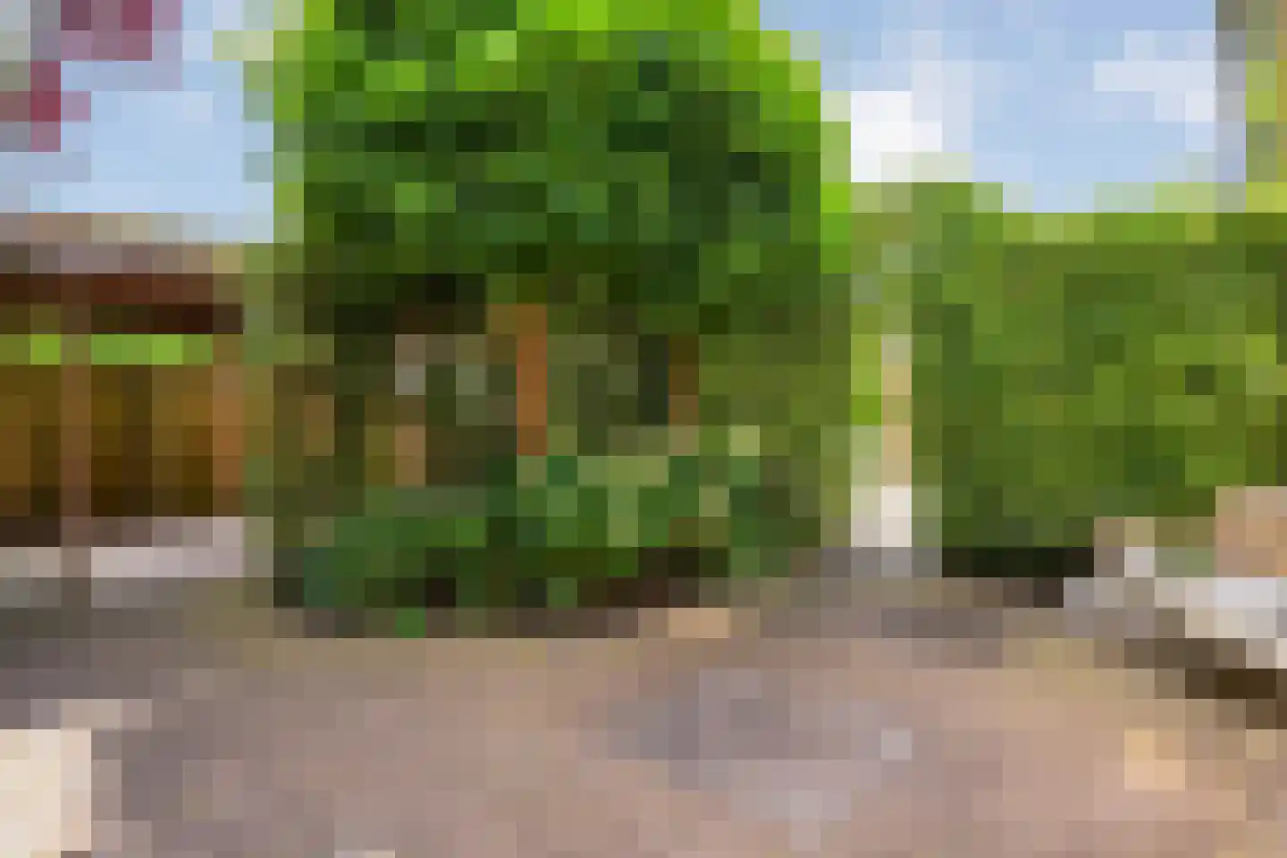 Teeuwserf 42 Dalfsen thumbnail 57