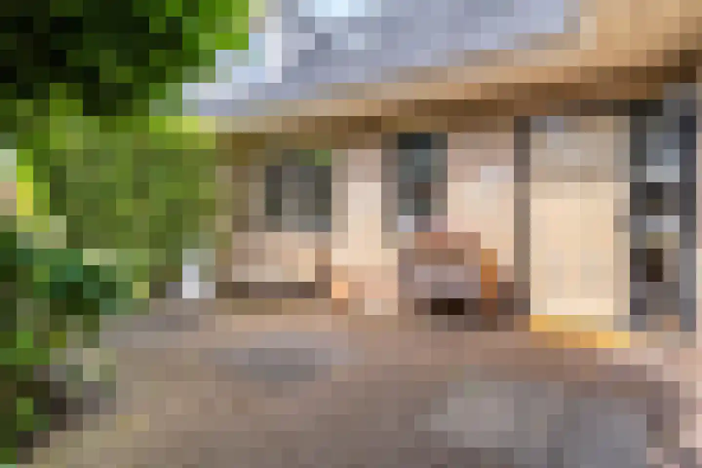 Teeuwserf 42 Dalfsen thumbnail 59
