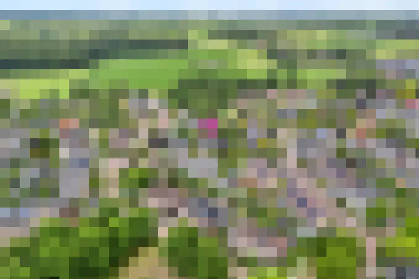 Teeuwserf 42 Dalfsen thumbnail 61