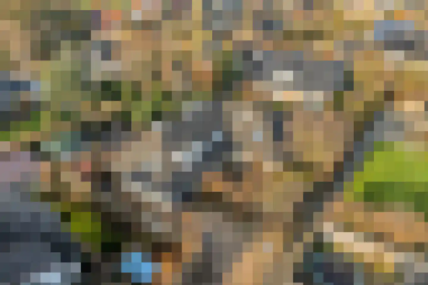 Teeuwserf 42 Dalfsen thumbnail 63