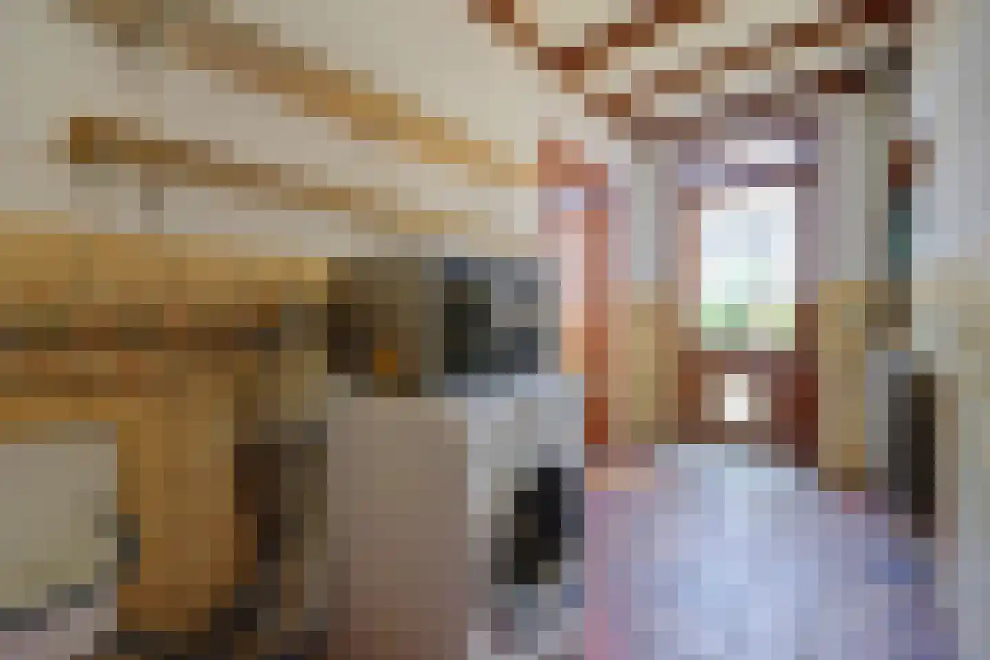 Tegelaersstraat 3 Ammerzoden thumbnail 13