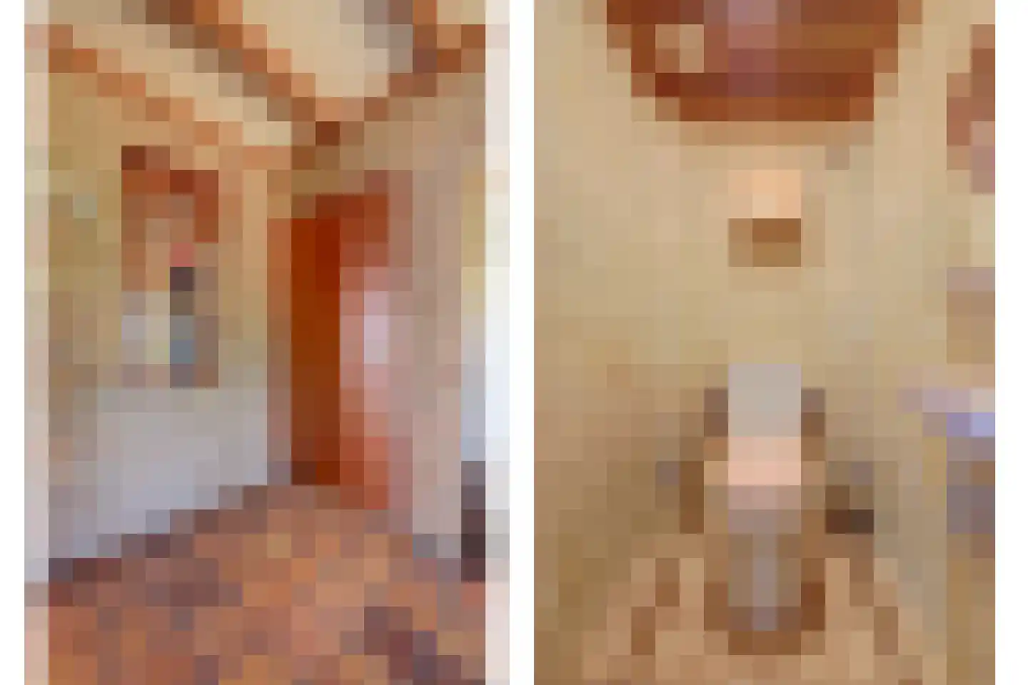 Tegelaersstraat 3 Ammerzoden thumbnail 17