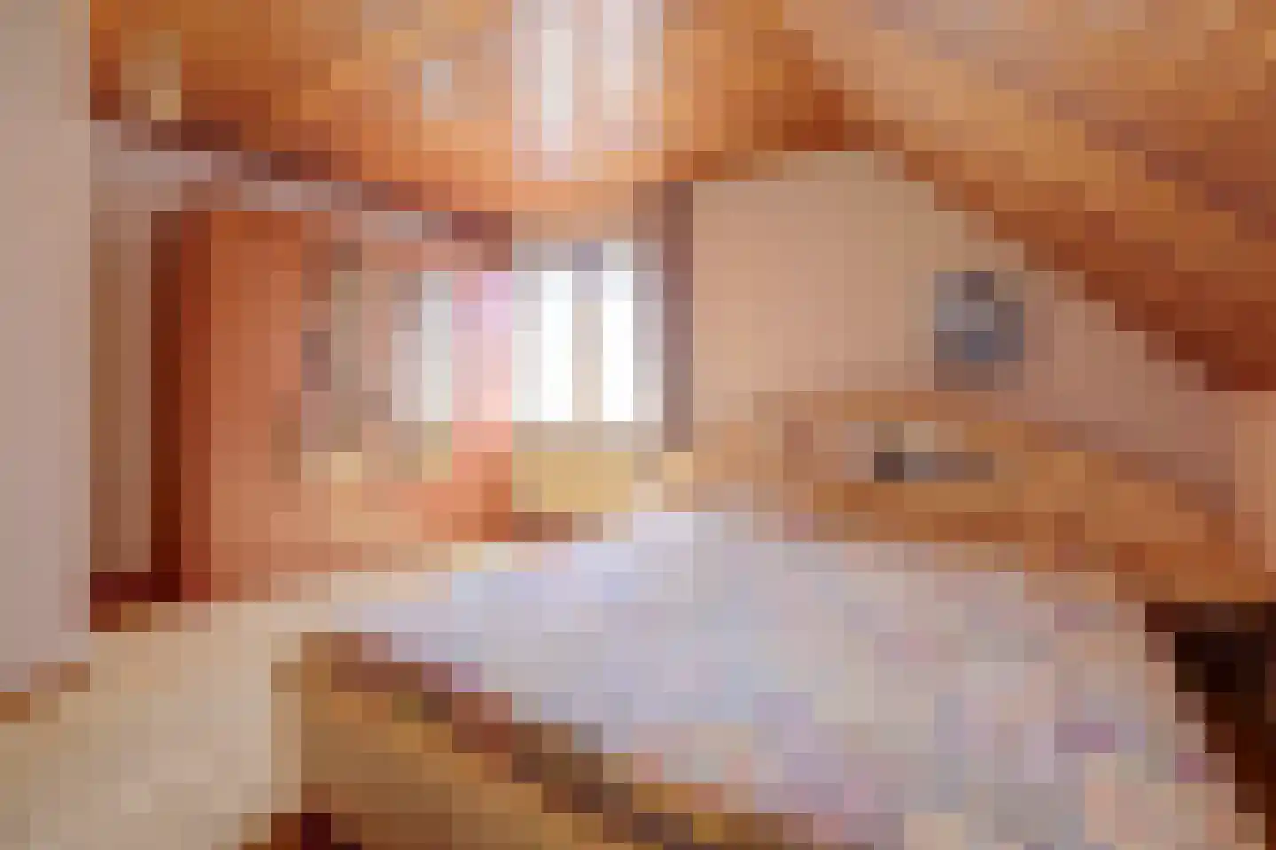 Tegelaersstraat 3 Ammerzoden thumbnail 20