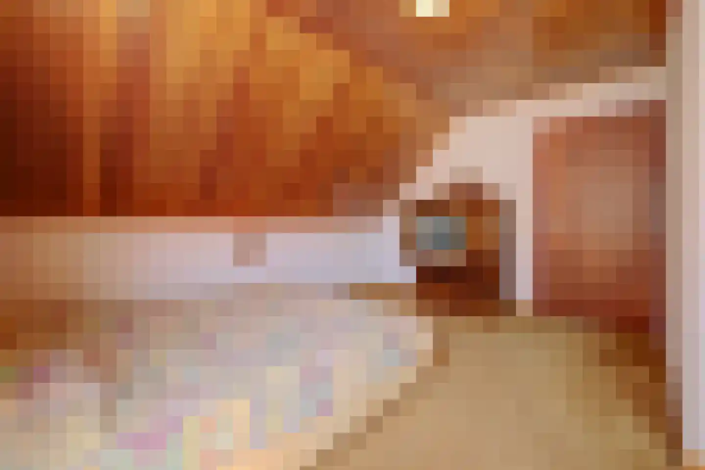 Tegelaersstraat 3 Ammerzoden thumbnail 21