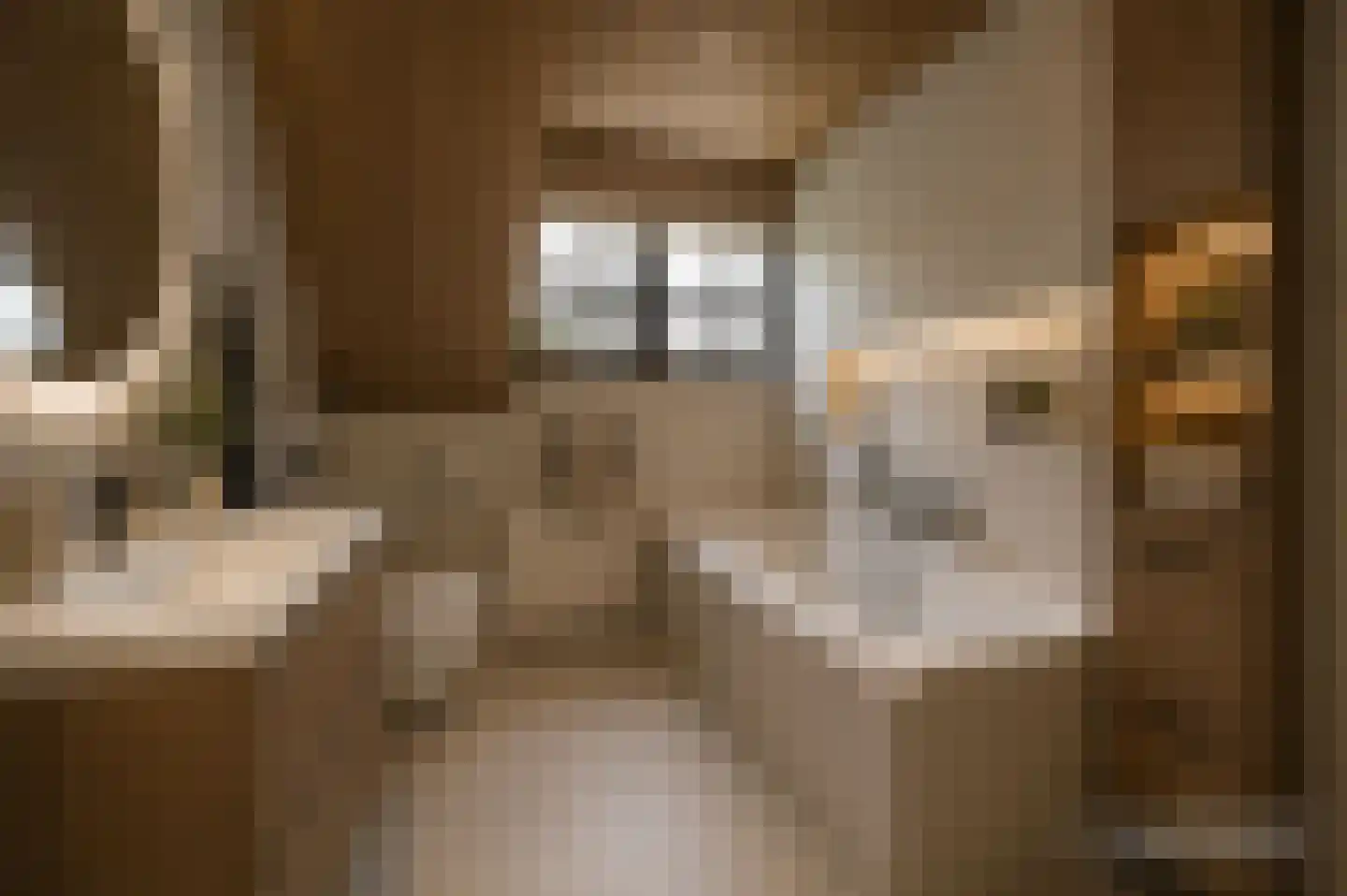 Tegelaersstraat 3 Ammerzoden thumbnail 27