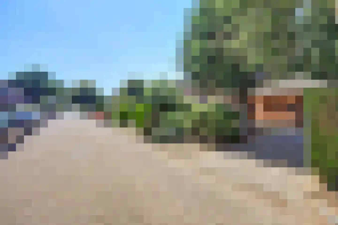 Tegelaersstraat 3 Ammerzoden thumbnail 36