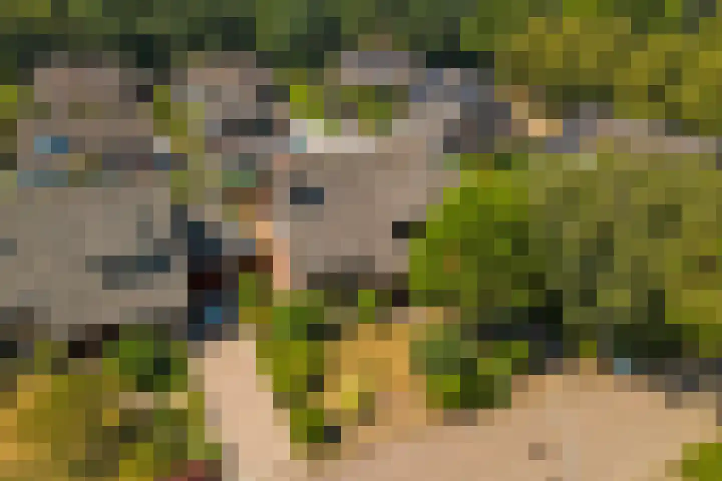 Tegelaersstraat 3 Ammerzoden thumbnail 37