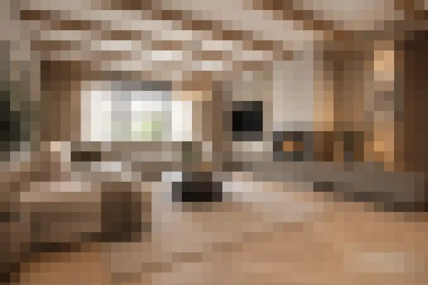Tegelaersstraat 3 Ammerzoden thumbnail 4