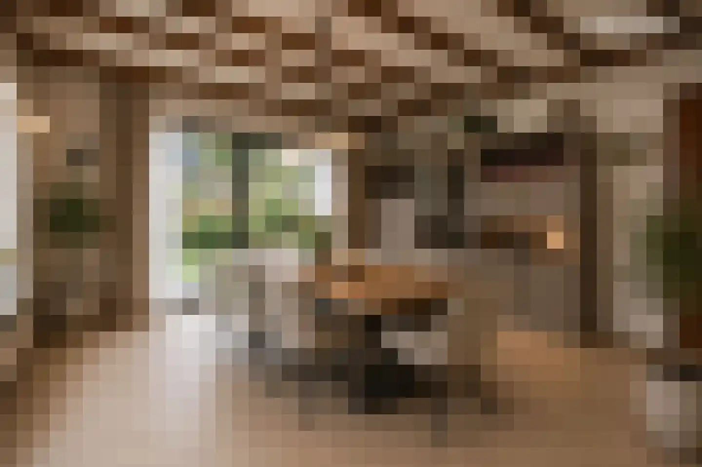 Tegelaersstraat 3 Ammerzoden thumbnail 6