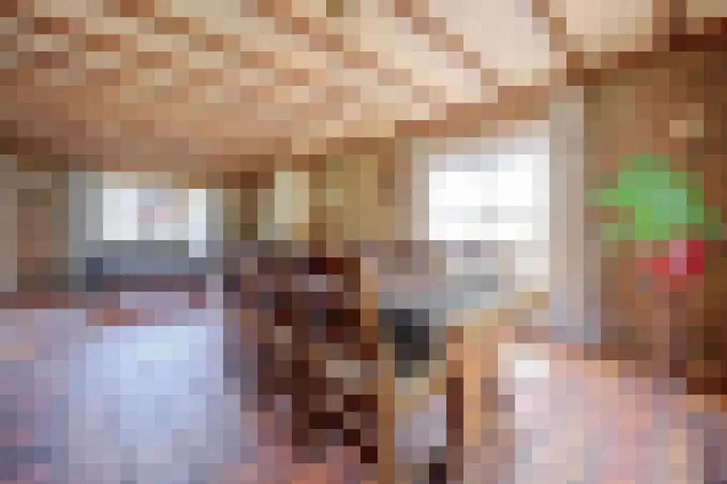 Tegelaersstraat 3 Ammerzoden thumbnail 7