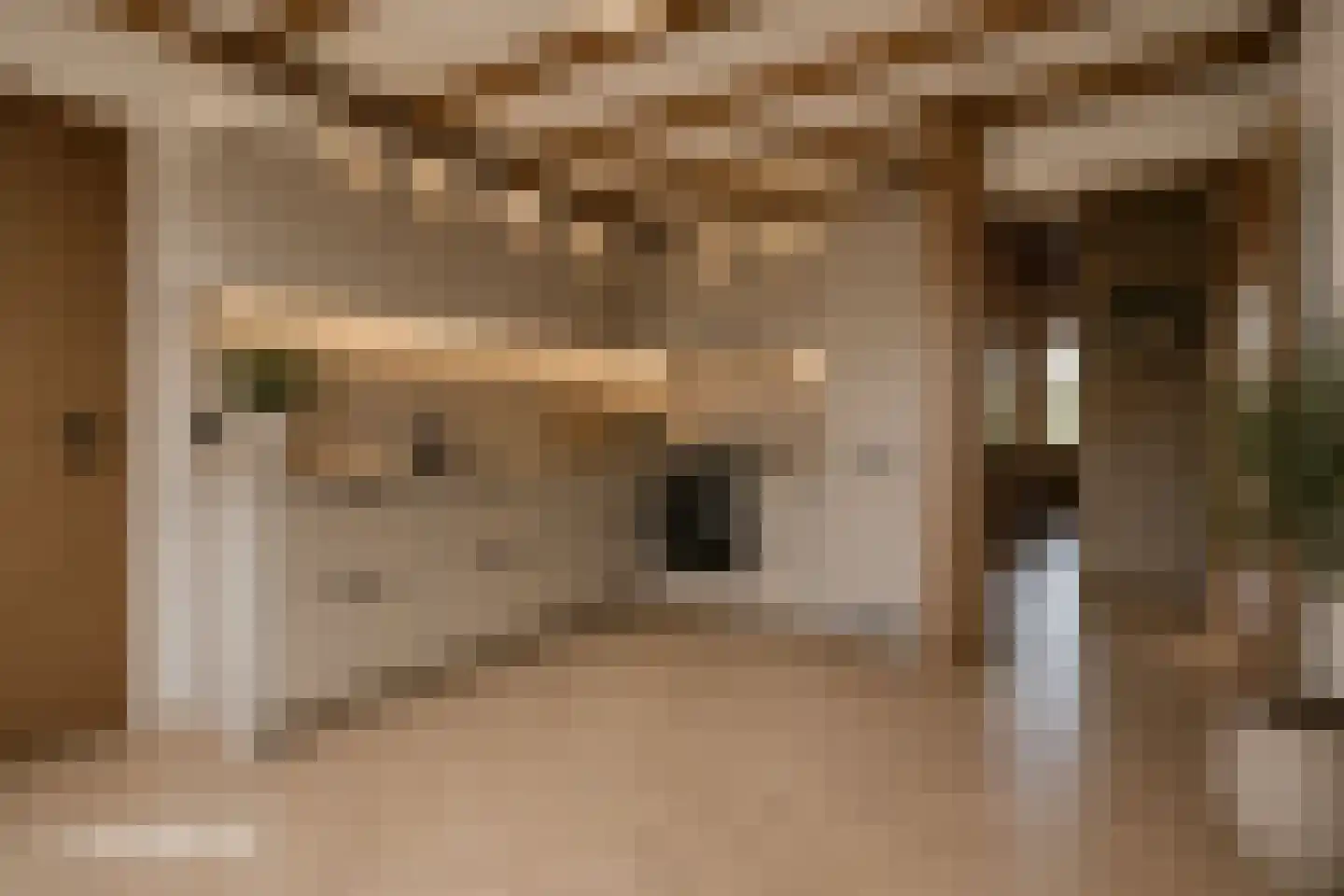 Tegelaersstraat 3 Ammerzoden thumbnail 9