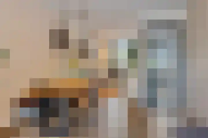 Tegelbakkerssteegje 4 Gouda thumbnail 12