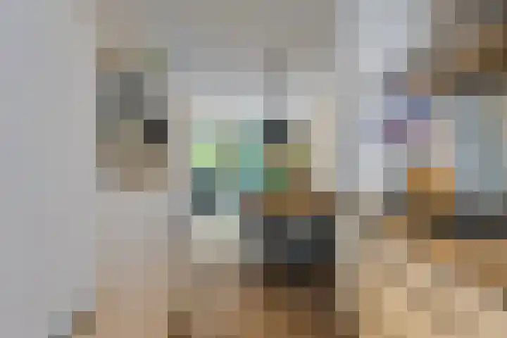 Tegelbakkerssteegje 4 Gouda thumbnail 16