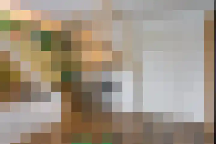 Tegelbakkerssteegje 4 Gouda thumbnail 20