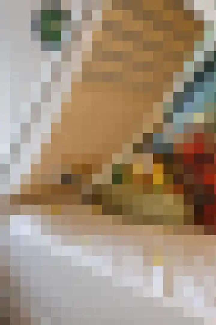 Tegelbakkerssteegje 4 Gouda thumbnail 21