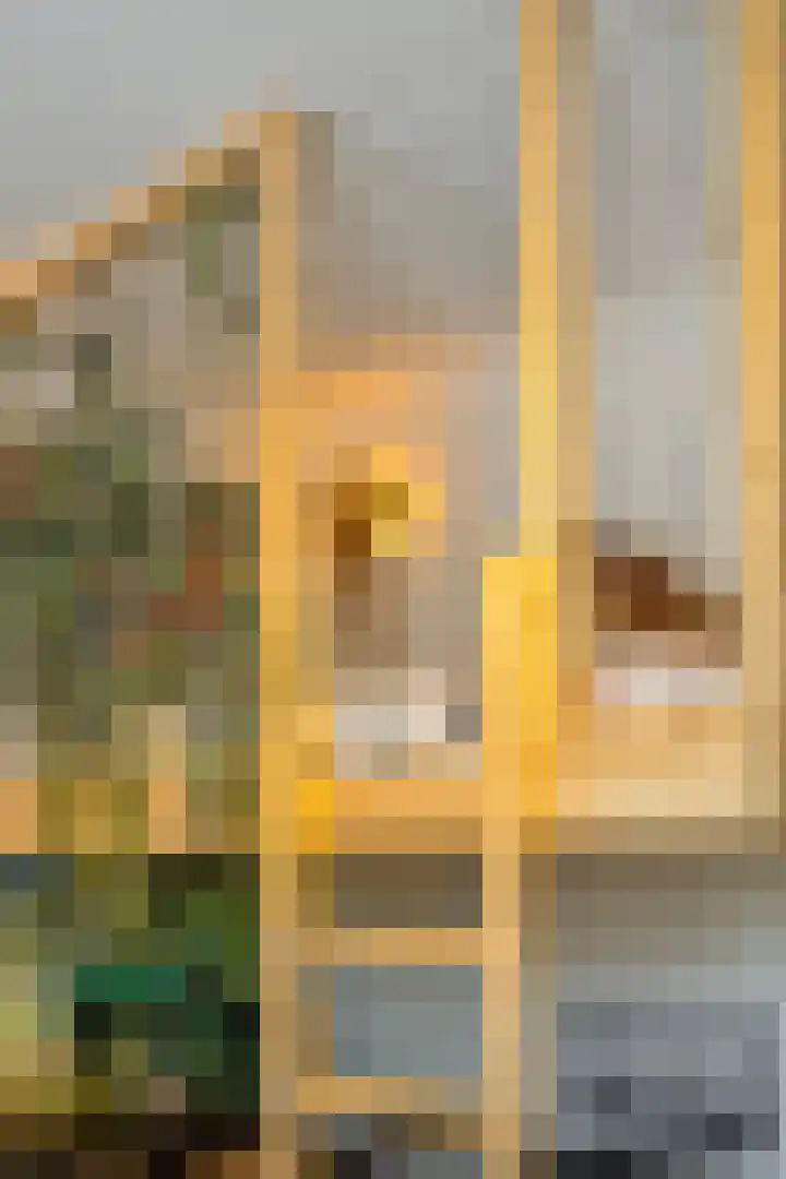 Tegelbakkerssteegje 4 Gouda thumbnail 22
