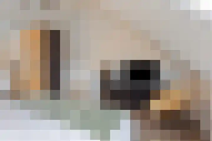 Tegelbakkerssteegje 4 Gouda thumbnail 30