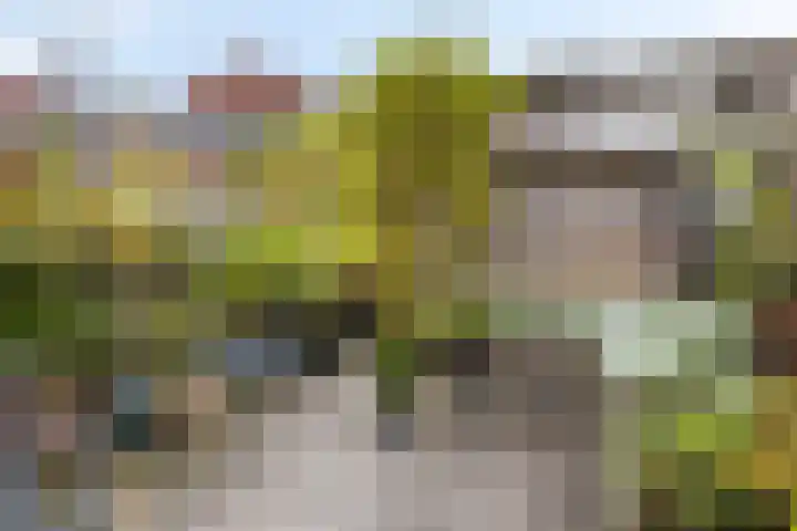 Tegelbakkerssteegje 4 Gouda thumbnail 31