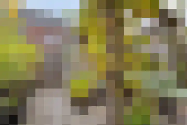 Tegelbakkerssteegje 4 Gouda thumbnail 32