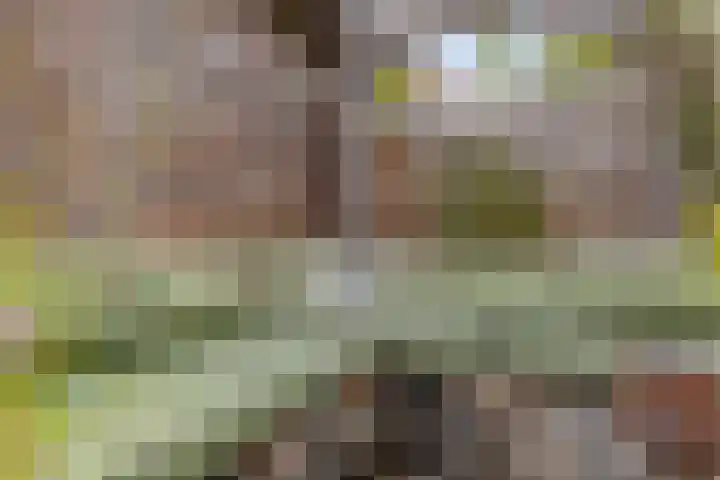 Tegelbakkerssteegje 4 Gouda thumbnail 33