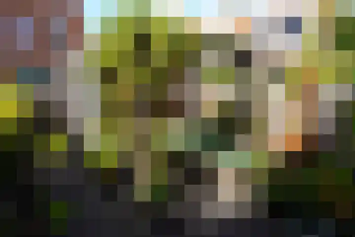 Tegelbakkerssteegje 4 Gouda thumbnail 34