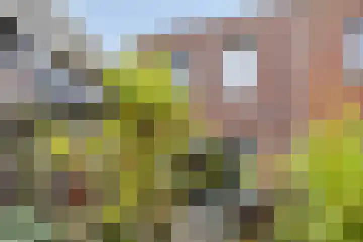 Tegelbakkerssteegje 4 Gouda thumbnail 35