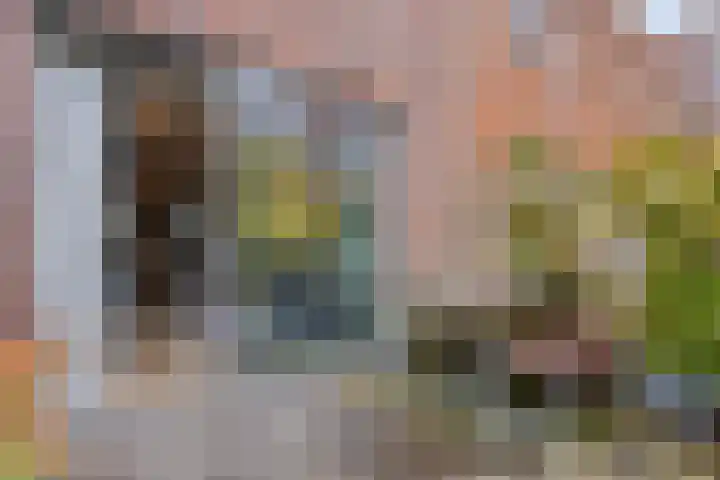 Tegelbakkerssteegje 4 Gouda thumbnail 36