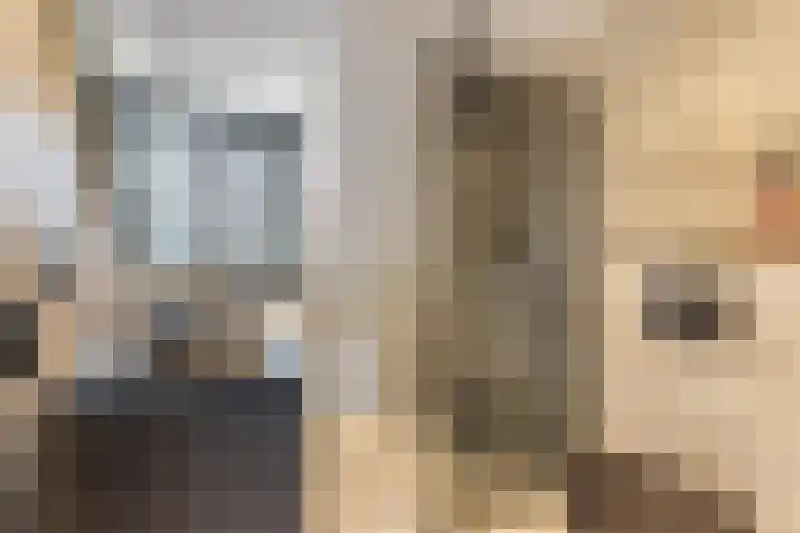 Tegelenpad 29 Almere thumbnail 20