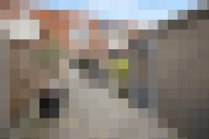 Tegelenpad 29 Almere thumbnail 29