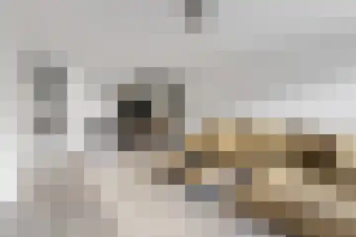 Tegelenpad 29 Almere thumbnail 4