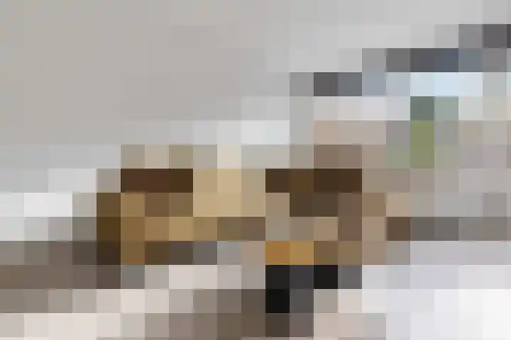 Tegelenpad 29 Almere thumbnail 9