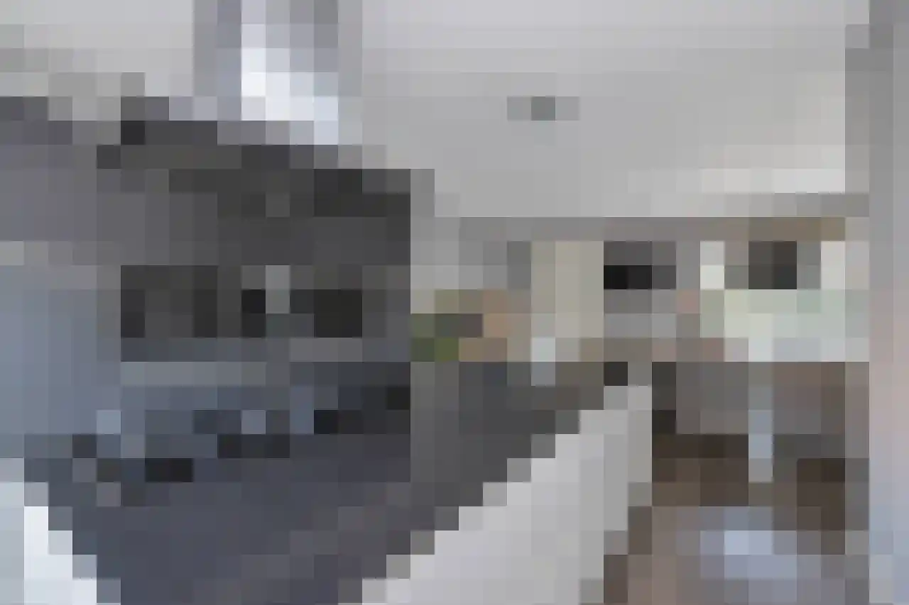 Tegelerweg 2 Enschede thumbnail 17