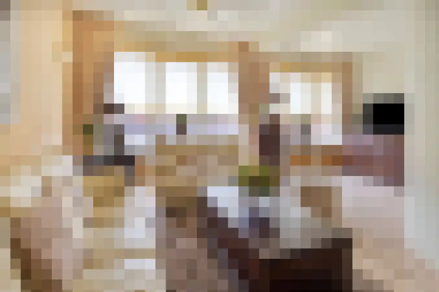 Tegelseweg 101 Venlo thumbnail 12