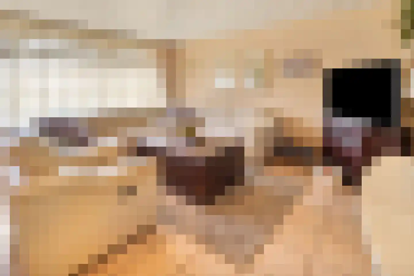 Tegelseweg 101 Venlo thumbnail 13