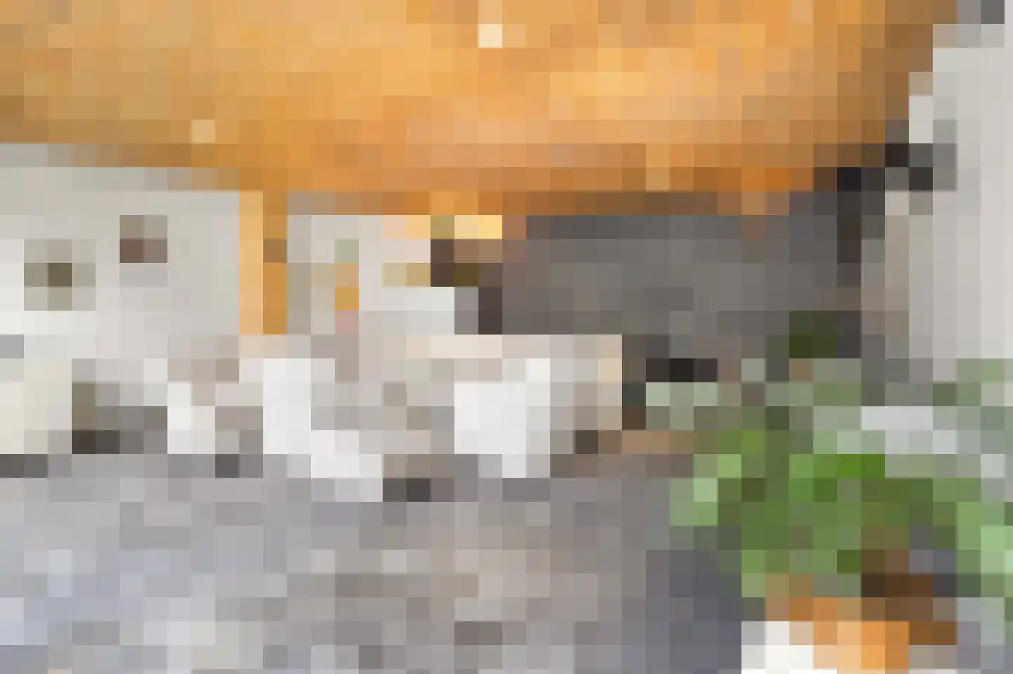 Tegelseweg 101 Venlo thumbnail 35