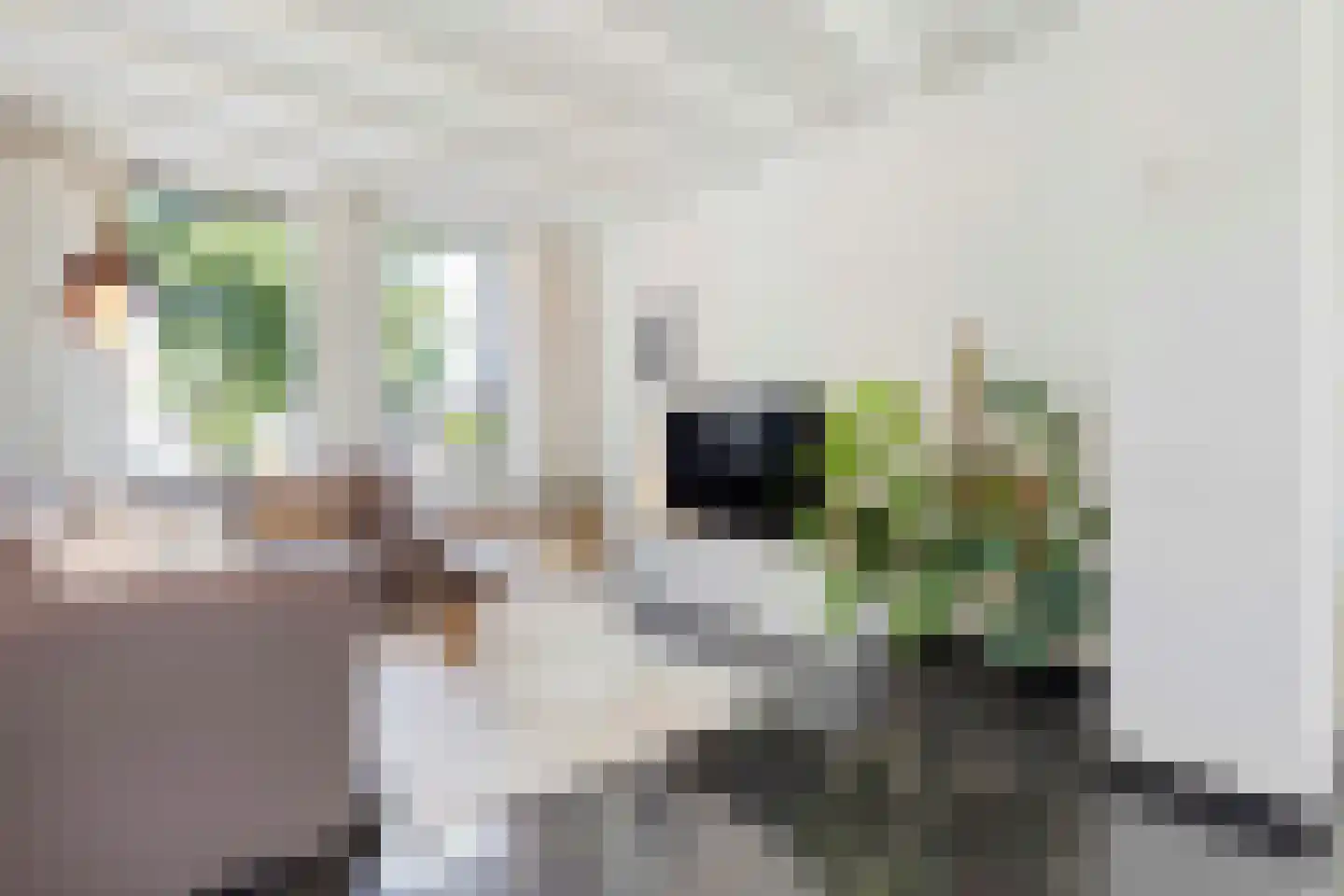 Tegelseweg 165 Venlo thumbnail 8