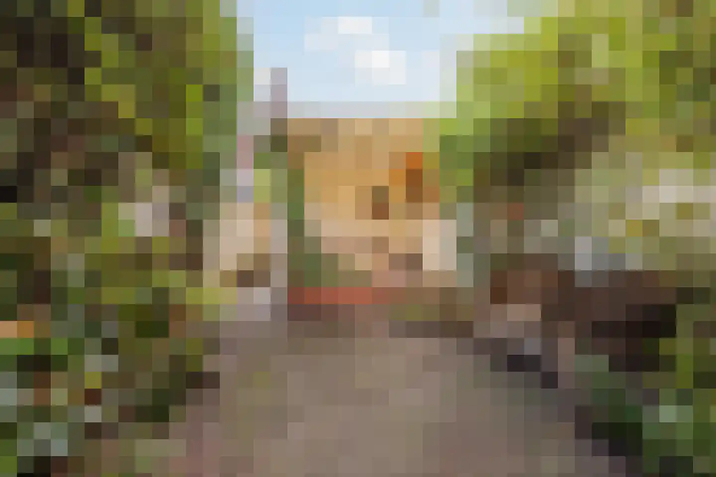 Tegelseweg 175 Venlo thumbnail 33