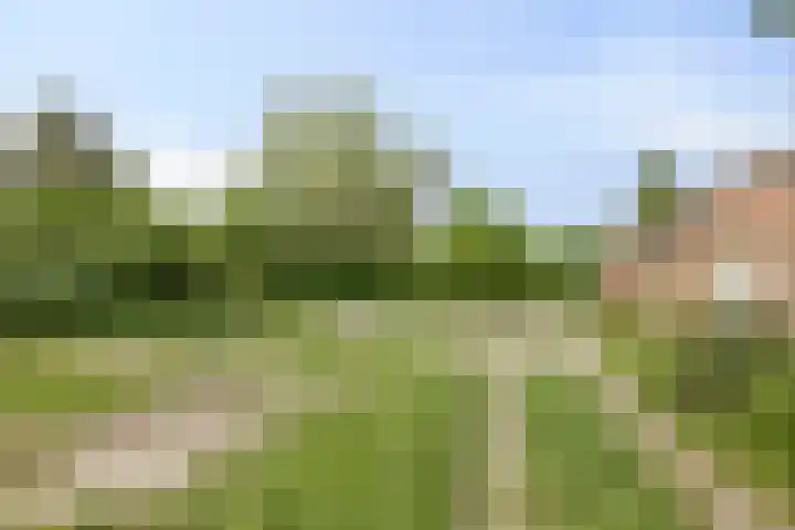 Tegelseweg 229 Venlo thumbnail 25