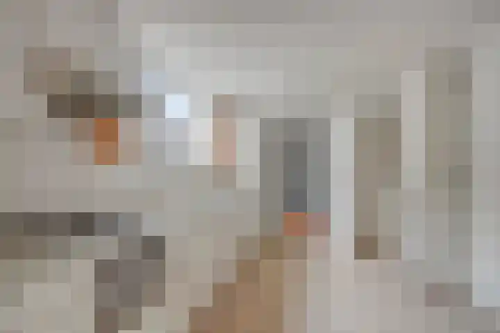 Tegelseweg 229 Venlo thumbnail 8