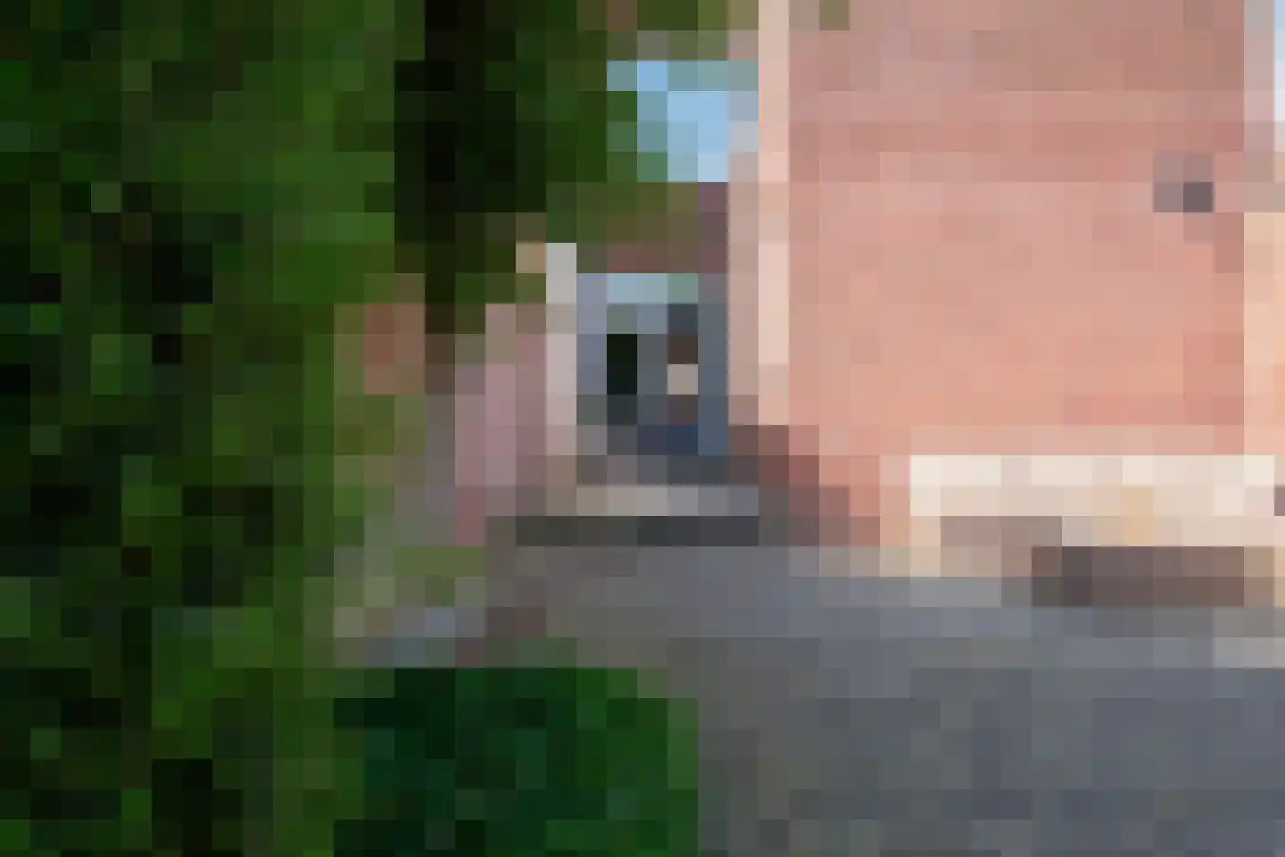 Tegelseweg 23 Venlo thumbnail 21
