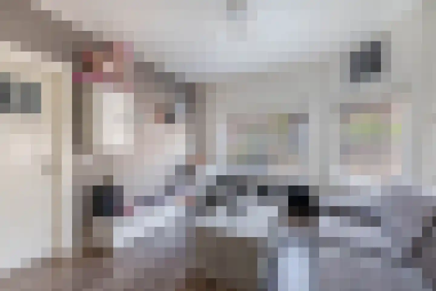 Tegelseweg 43 Venlo thumbnail 5