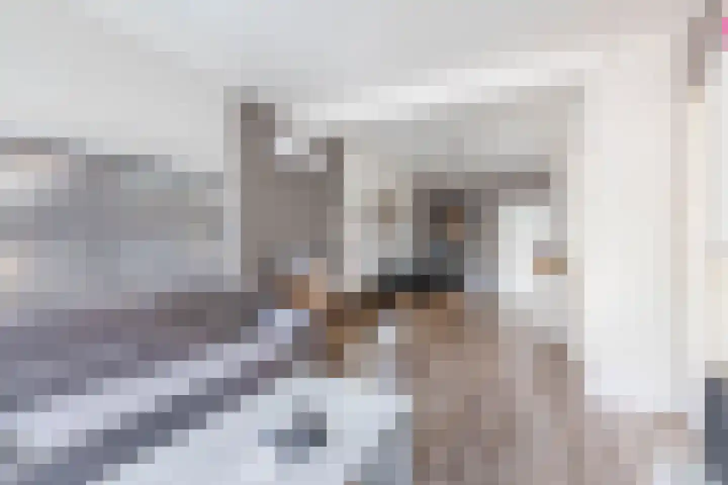 Tegelseweg 43 Venlo thumbnail 6